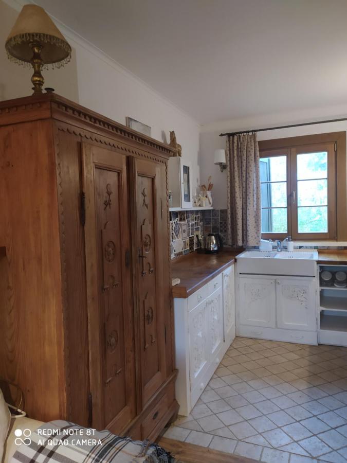 Vila Kamiennikove Kamienniki Exteriér fotografie