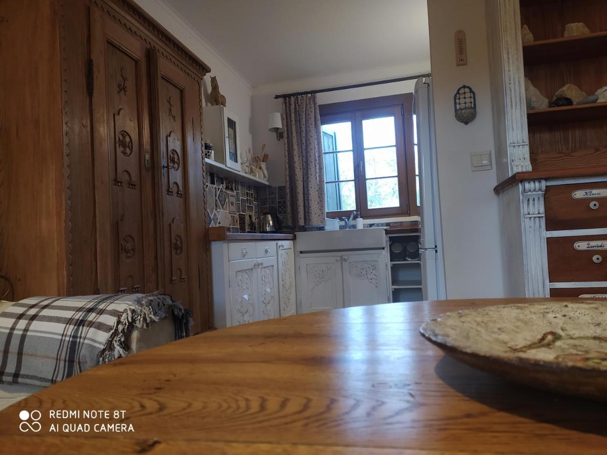 Vila Kamiennikove Kamienniki Exteriér fotografie