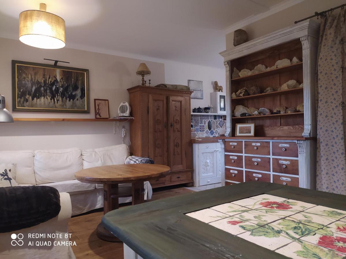 Vila Kamiennikove Kamienniki Exteriér fotografie